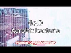 High Purity Industrial  VSA VPSA Oxygen Generator For Gold Mine