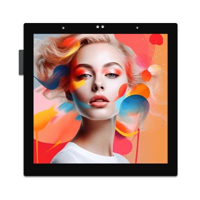 China 3.95 Inch Square TFT Display 480 X 480 IPS TFT LCD Touch Screen Display Module for sale