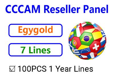 China Egygold CCCAM Server Panel Oscam For Astra Hotbird GTMEDIA Freesat Decoder for sale