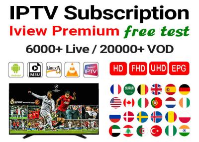 China Prueba libre TV de Live Europe IPTV de los deportes de Bein de las películas árabes francesas de la suscripción en venta