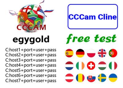 China 7 Lines CCCam Egygold Oscam For Portugal UK Spain Turkey Astra Hotbird Free Test for sale