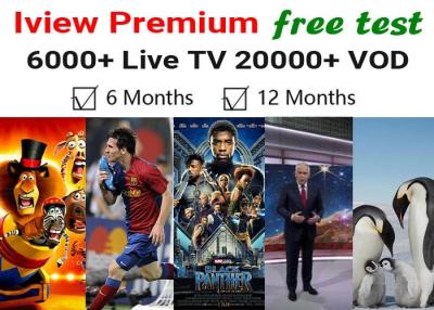 China EPG Premium IPTV Subscription M3U Channel 6000+ Live TV 20000+ Movies Series for sale