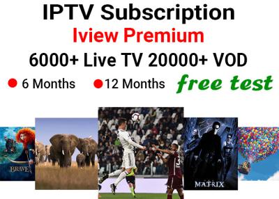 China Premium IPTV Subscription For Europe Arabic USA Canada Smart TV M3U Free Test en venta