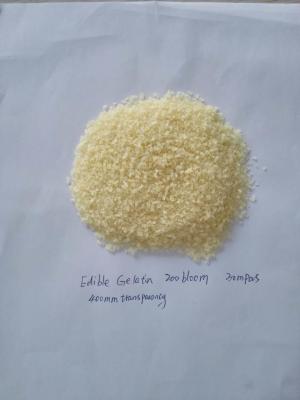 China 100-300Bloom  edible bovine gelatin/porcine gelatin factory supply for sale