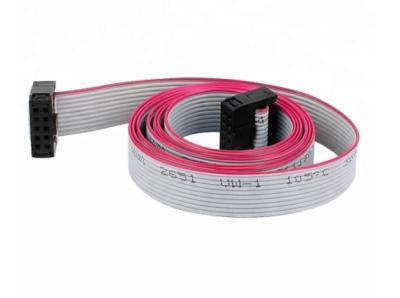 China 1.27 MM Pitch Wiring Harness Wire , 2*5 10P IDC Flat Electrical Wiring Harness for sale