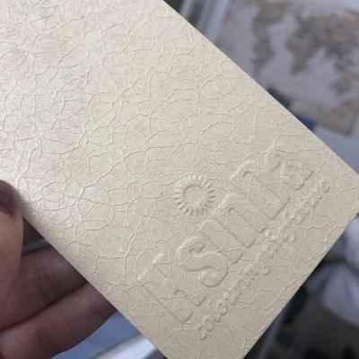 China Capa del polvo de la precisión del espray de la textura de la grieta del color claro respetuosa del medio ambiente en venta