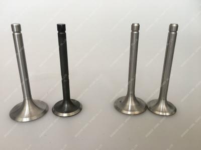 China Diesel Engine intake valve and exhaust valve black seat for  Kubota RT120 Parts for sale