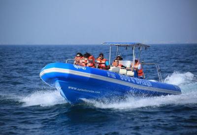 China Ferrying Orca Hypalon Inflatable Sailing Boat Rib960C With Passengers Seats for sale