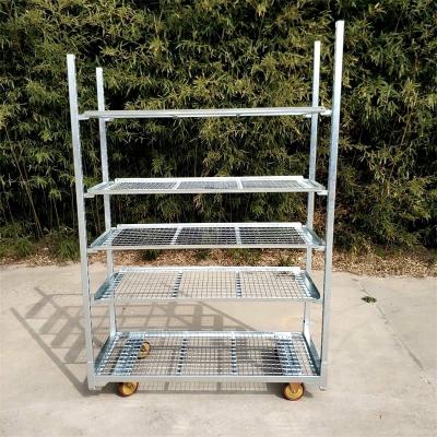 China White Dutch Flower Trolley With Basket For Garden Patio Balcony Lawn for sale