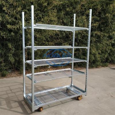 China Greenhouse Standard Hole Plate Special Seedling Trolley Urge Bud Trolley Flower Trolley for sale
