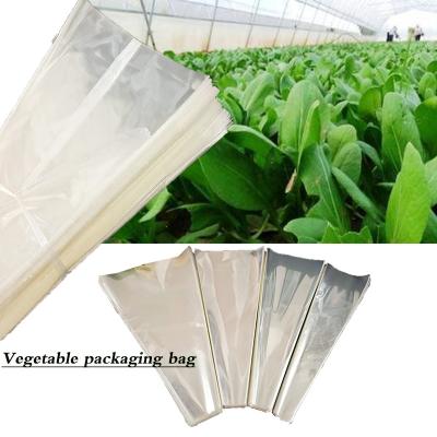 China Bolsas de embalaje transparentes de uso múltiple Verduras y frutas Flores recién cortadas en venta
