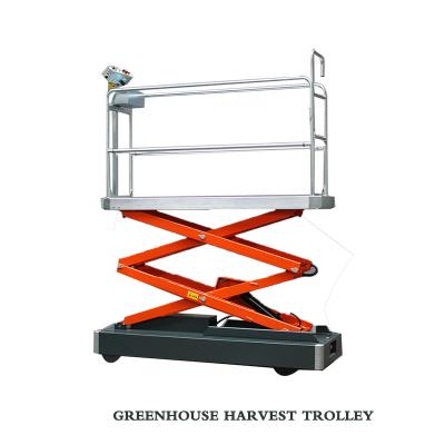 Chine Agricultural Picking Rail Car Greenhouse Harvest Trolley à vendre