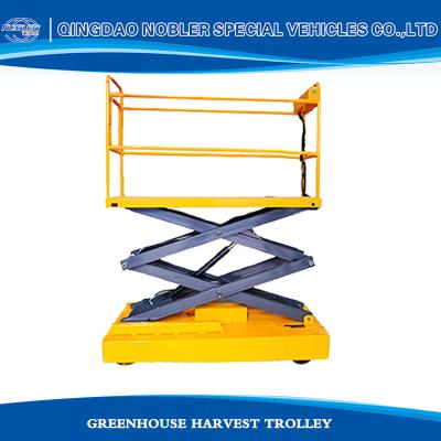 China Metal Greenhouse Lifting Car Agricultural Picking Car Vegetable Automatic Lifting for sale
