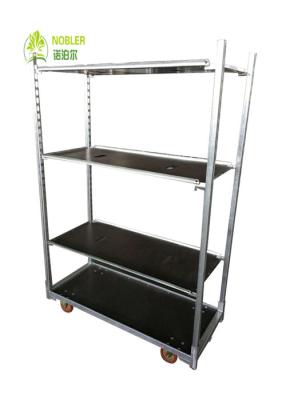 China DC Trolley Danish Container Dutch Trolley Display Cart For Plants for sale