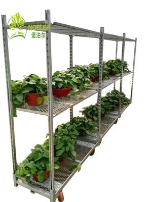 China Hot Galvanized Greenhouse Carts Flower Trolley Danish Trolley Racks for sale