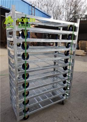 China Pull Net Shelf Danish Flower Trolley Cart for Greenhouse , Dutch Trolley Shelves for sale