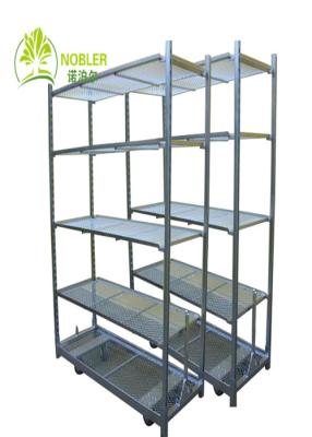 China Dutch Cart Danish Container Vegetbable Plants Nursery Growing Trolley for sale