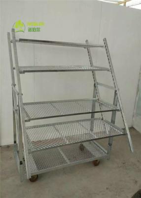 China Nursery Plant Net Layer Cart Dutch Trolleys Display 22*54*74.8 Inch for sale
