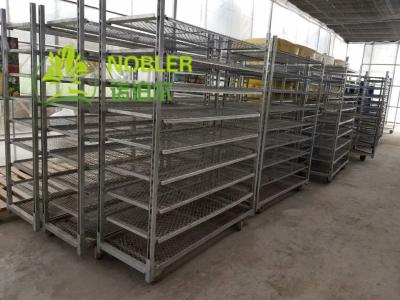 China Greenhouse Mesh Wire Plant CC Container Flower Display Trolley Electric Galvanizing for sale