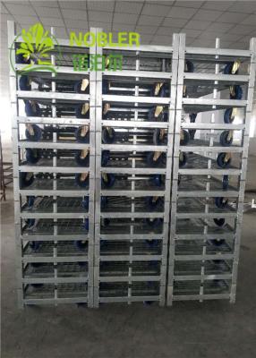 China 500kg Capacity Greenhouse Carts for sale