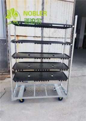 China Dutch Trolleys Shelf CC Racks for sale