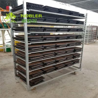 China Greenhouse Flower Trolley Display for sale