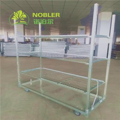 China Multi Purpose Layer Flower Trolley Adjustable Hot Dip Galvanizing Not Easy To Rust for sale