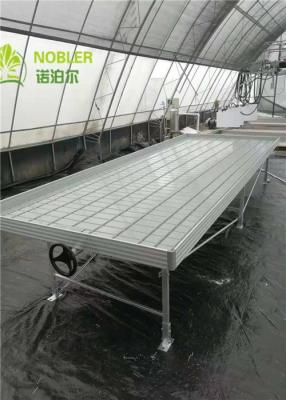 China El invernadero galvanizado crece camas en venta