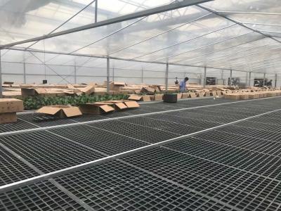 China Hot Dip Galvanized Greenhouse Planting Beds for sale
