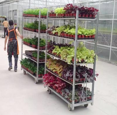 中国 温室は純Q235 PPを動かすCCのデンマークの植物のトロリーを引っ張る 販売のため