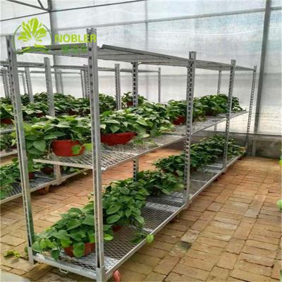 China Hot Galvanized Plywood Greenhouse Flower Carts Customized Trolley For Transport for sale