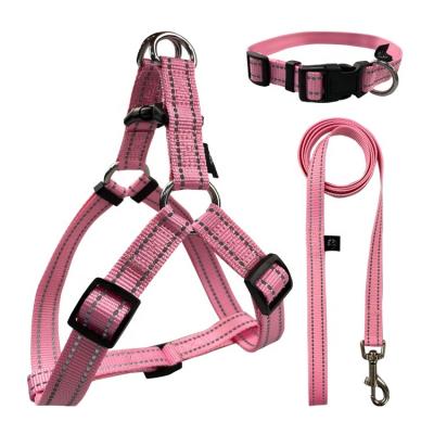 China Personalized Buckle Waterproof Dog Leash for sale