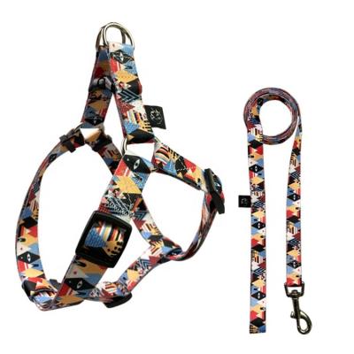 China No Pull Dog Harness Set Adjustable Designer Dog Harness Leash Set for sale