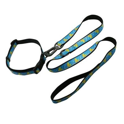 China Double Layer Harness Leash Set Waterproof Pet Collar Leash For Dog for sale