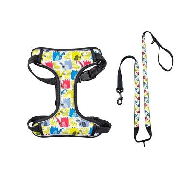 China Quick Snap Design Reflective Puppy Harness Soft Dog Harnesses With Leashes Set for sale