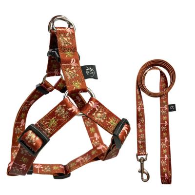 China No Pulling Collar Lead Harness Set 8kg Easy Walk Dog Harness for sale