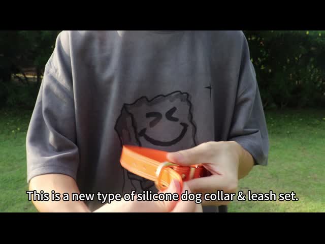 Pet Silicone Imitation Leather Dog Collar And Leash Set
