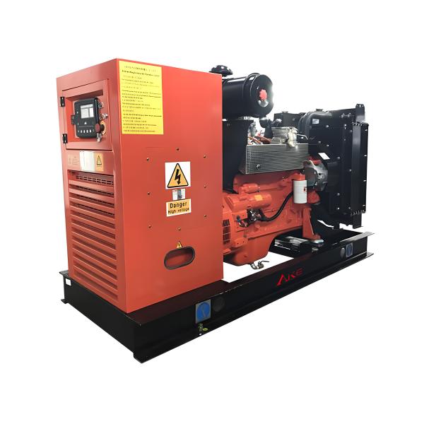 Quality 40kw Natural Gas Generator Sets Electric Start Cummins Nature Gas Generator for sale