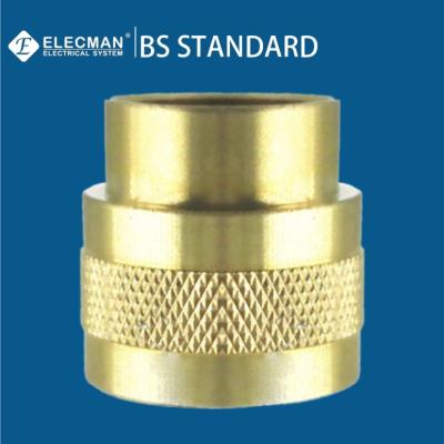 China Conduit BS Brass Fittings Female Adaptor 20mm 2