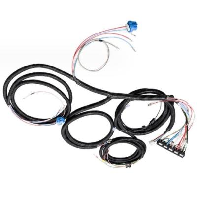 China Plastic Electric Vehicle Wire Harness Assembly OEM Voltage 24V for sale