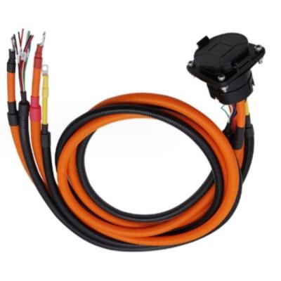 China RHOS Electric Vehicle Wire Harness 16AWG Automobile Wiring Harness for sale