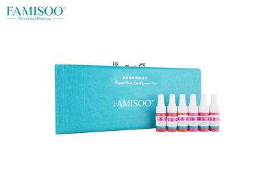 China 6 Bottles Permanent Makeup Kit Famisoo Brand Eyebrow Pigment Tattoo Ink Sets for sale