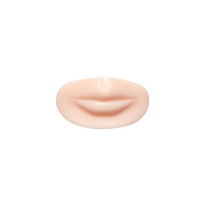 China Silicone Durable Permanent Makeup Practice Skin For Lips Training 4D Module for sale