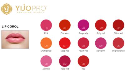 Chine Liquide micro d'encre de colorant d'usine pure pour des couleurs permanentes de lèvres/tatouage 13 de maquillage à vendre