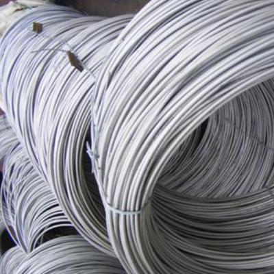 China alambre de acero inoxidable del diámetro de 316l 2m m con la capa de nylon en venta