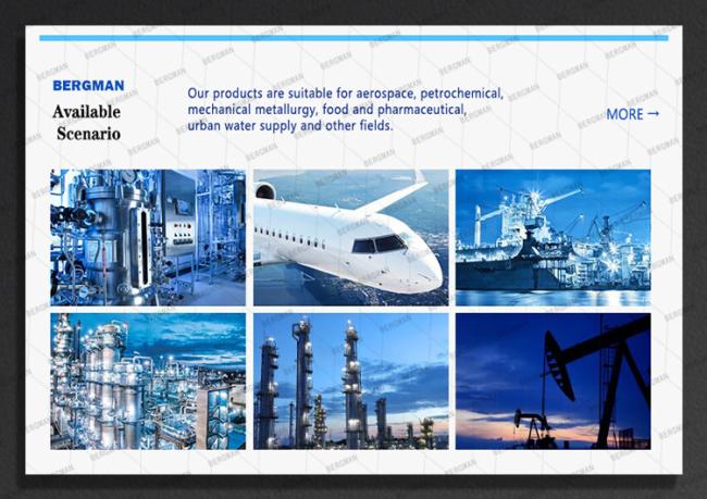 Mechanical seal applications