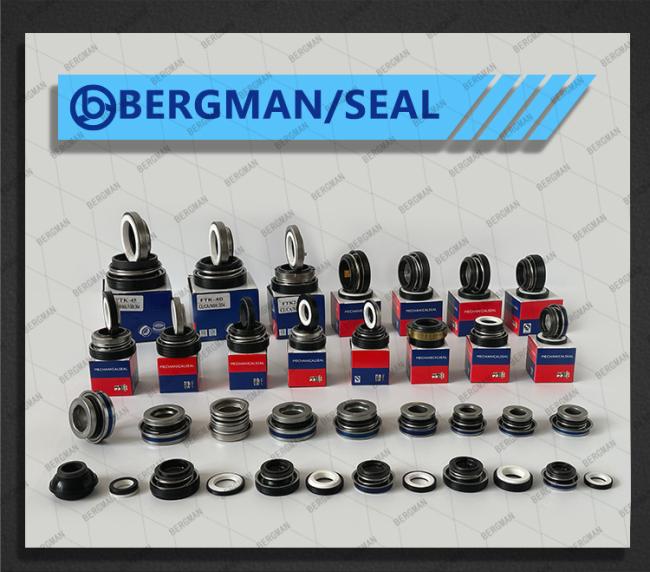 Mechanical seal technical diagram