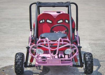 China 110cc Kids Off Road Go Kart Two Seats Rear Rack With CVT Transmission / Reverse for sale