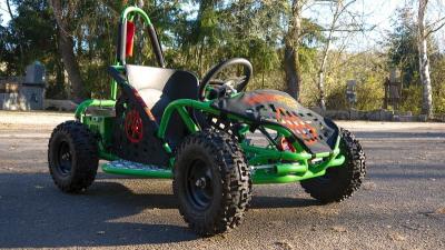 China 1000 W 48v Brushed DC Motor Atv All Terrain Vehicle 2 Seats With Big Soft Seat for sale