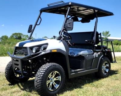 China Golf Cart Gas Utility Vehicles UTV Rancher 200 EFI With Automatic Trans Reverse for sale